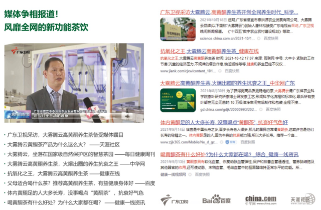 大雾腾云高黄酮茶背后的公司品牌设计理念分享