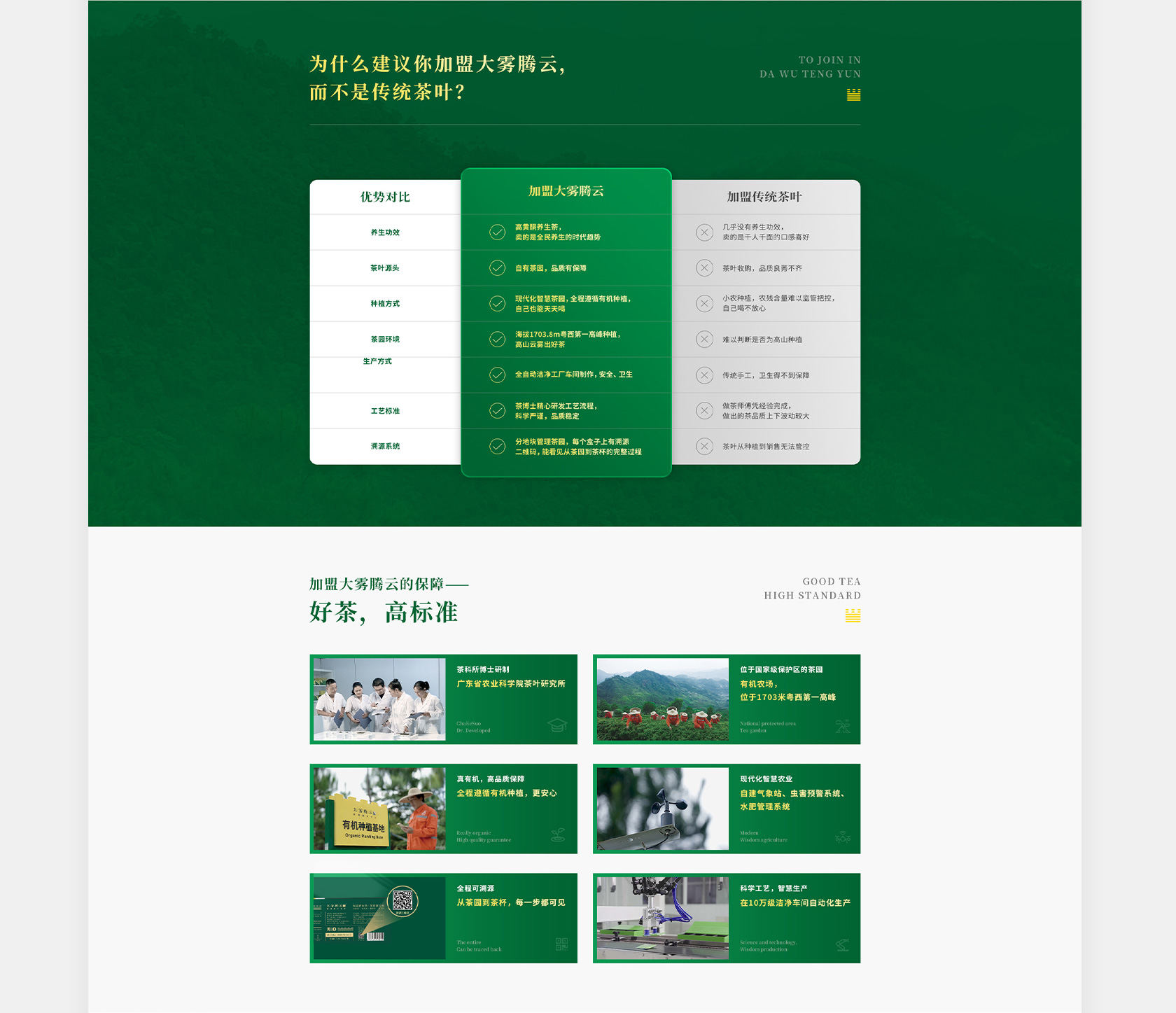 大雾腾云高黄酮茶网站设计