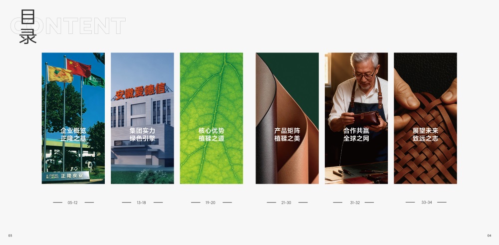 正隆皮革品牌营销策划案例