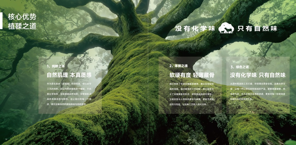 正隆皮革品牌营销策划案例