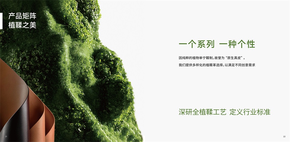 正隆皮革品牌营销策划案例