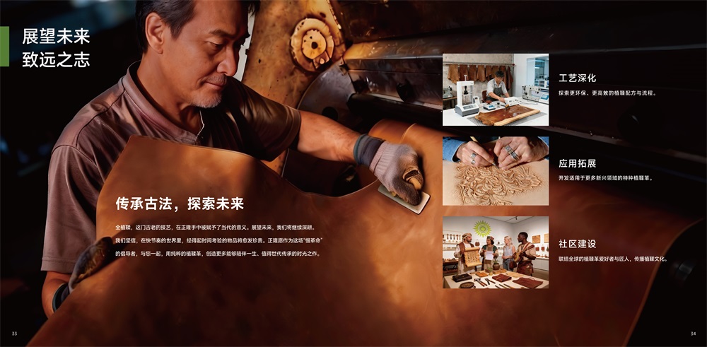 正隆皮革品牌营销策划案例