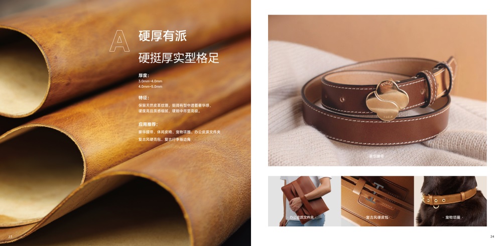 正隆皮革品牌营销策划案例